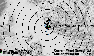 Wind Rose