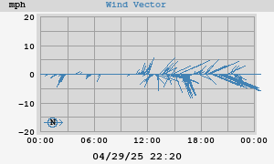 Wind Vector